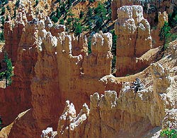 Fairyland hoodoos Fairyland hoodoos