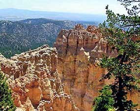 view from ponderosa point