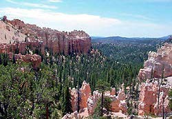 View of Swamp Canyon