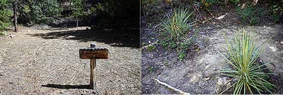 Corral Hollow Campsite