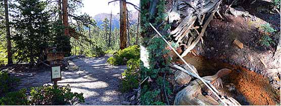 Iron Spring Campsite and water