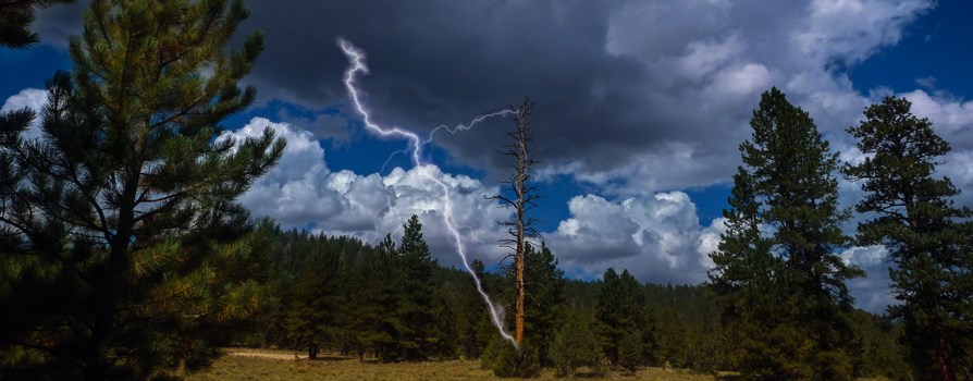 Lightning striking a dead ponderosa pine Lightning striking a dead ponderosa pine