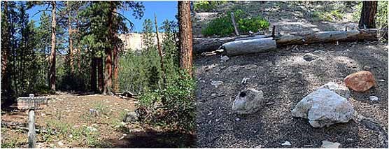 Natural Bridge Campsite
