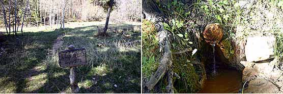 Riggs Spring Campsite and water