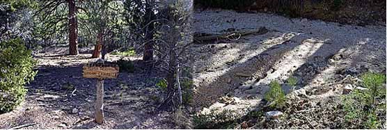 Riggs Spring Group Campsite