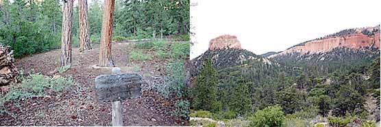 Right Fork Swamp Canyon campsite and view of red cliff butte.