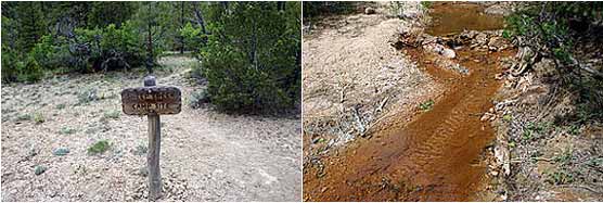 Sheep Creek Campsite and water