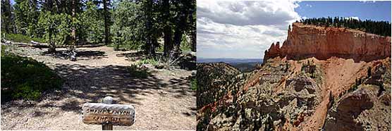 Swamp Canyon campsite and red cliff butte