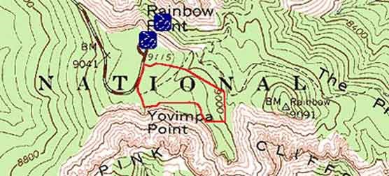Topographical Image of Bristlecone Loop trail (marked in red)