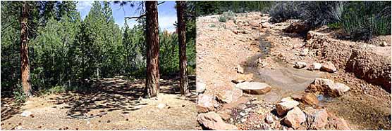 Yellow Creek Campsite and water