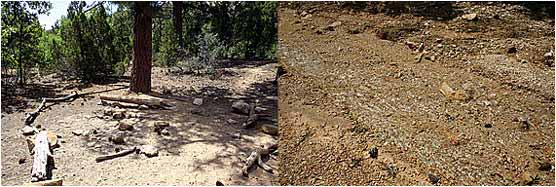 yellow creek groupsite area