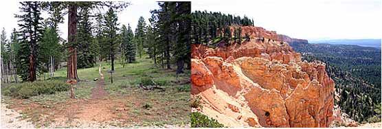 Yovimpa Pass Campsite and a view from Yovimpa Point