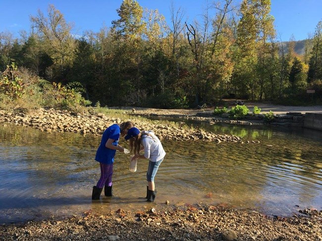 Two students examine the Buffalo River for critters.