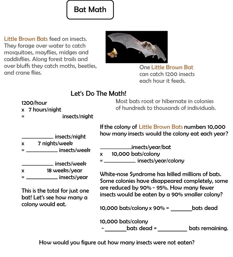 math activity