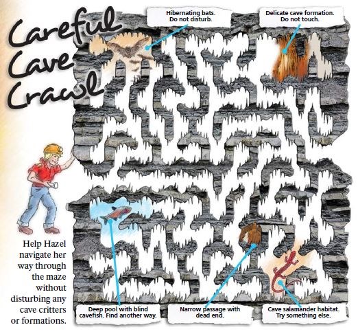 A drawing of a maze.  The maze has been made to look like a cave.  The maze features drawings of cave features including a pool, bats, a dead end and a cave salamander.  Text in the image reads: Help Hazel navigate her way through the maze without disturb
