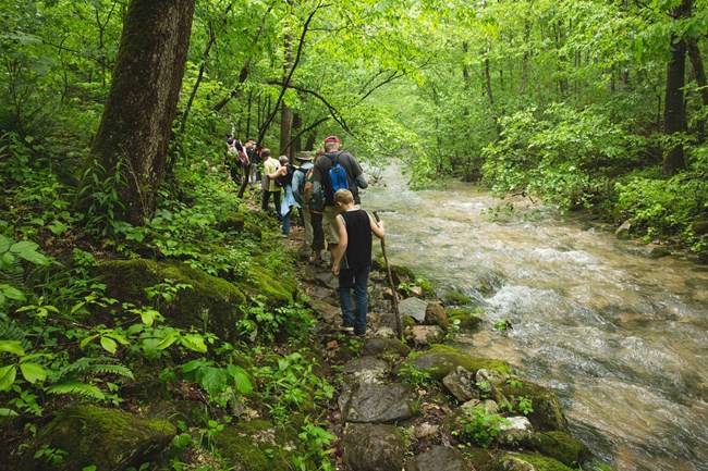 Hikers at Panther Creek