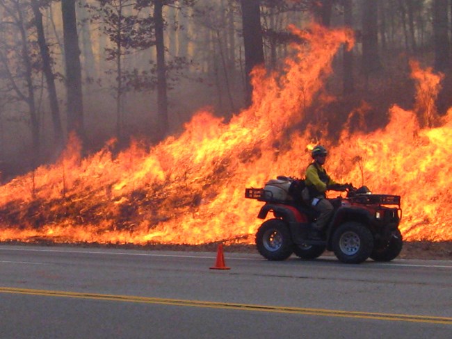Controlled burn at BUFF Controlled burn at BUFF