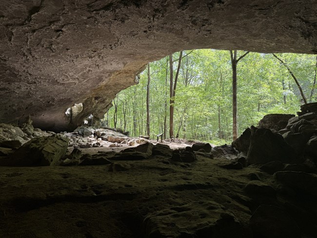 Lush green trees can be seen from the opening of a large rock shelter.