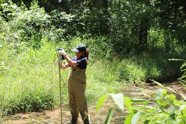 Scientist monitoring water quality