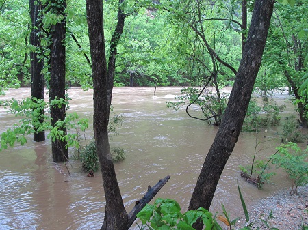 Muddy, fast flood water of Buffalo River