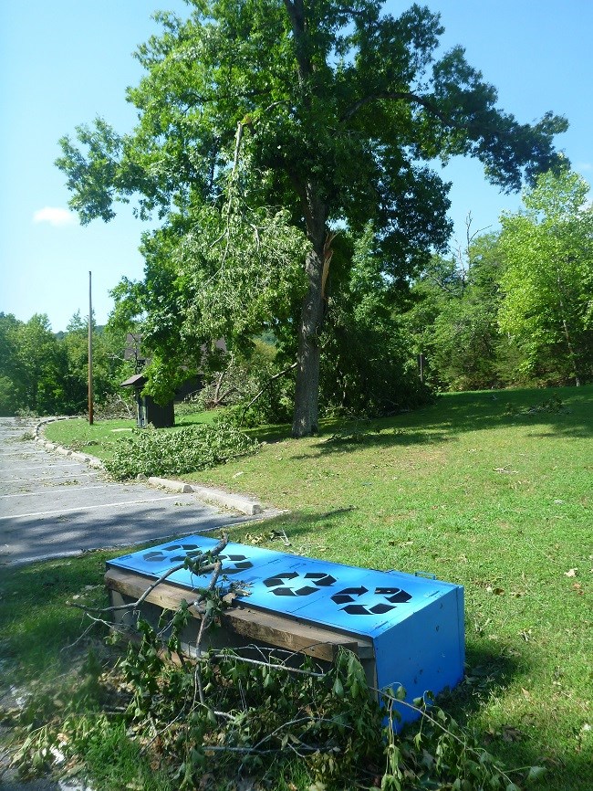 Buffalo Point Launch Area Damage - NPS Photo photo of downed trees at the river access area of Buffalo Point.