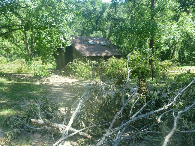 photo of trees down around restroom building