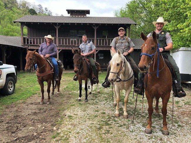 Cinco and Nacho color photo of four horses with riders with brown barn in background