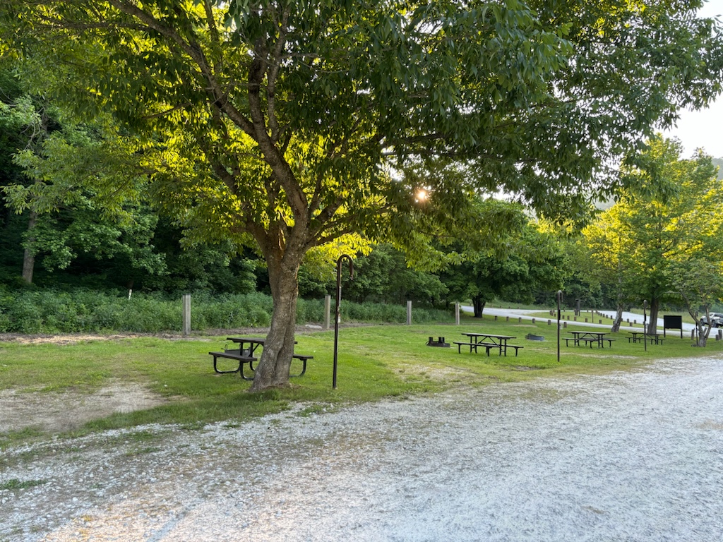 Steel Creek Campground in Twilight Four brown picnic tables can be seen placed in the center of four individual campsites. Green trees can be seen in the background with rays of sun filtering through the vegetation behind the campsites.