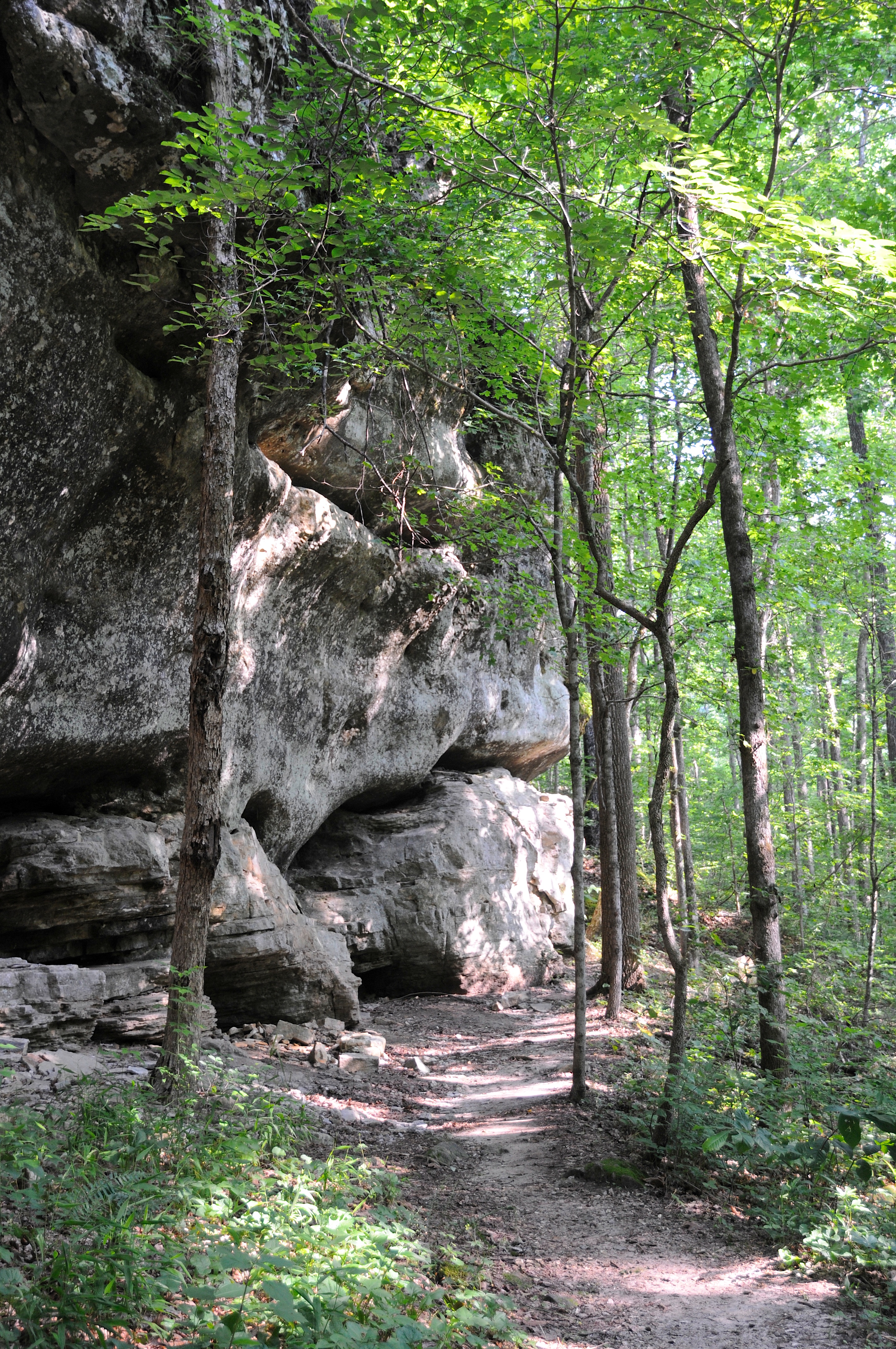 Narrow dirt trail winding through dense green forest beside large weathered rock formations.