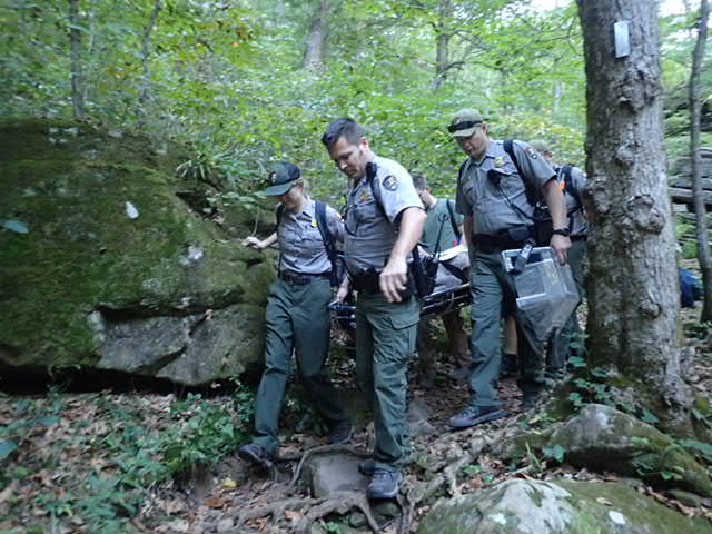 Park Rangers use a litter to carry out an injured hiker. (NPS) A color photograph shows a wooded area with multiple park rangers in green and gray uniforms, stepping over rocks while they carry a litter between them