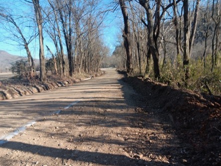 A dirt road runs through the center of the photo with a dirt berm on both sides. Barren trees with blue sky behind can be seen on the berms extending to the top of the photograph.