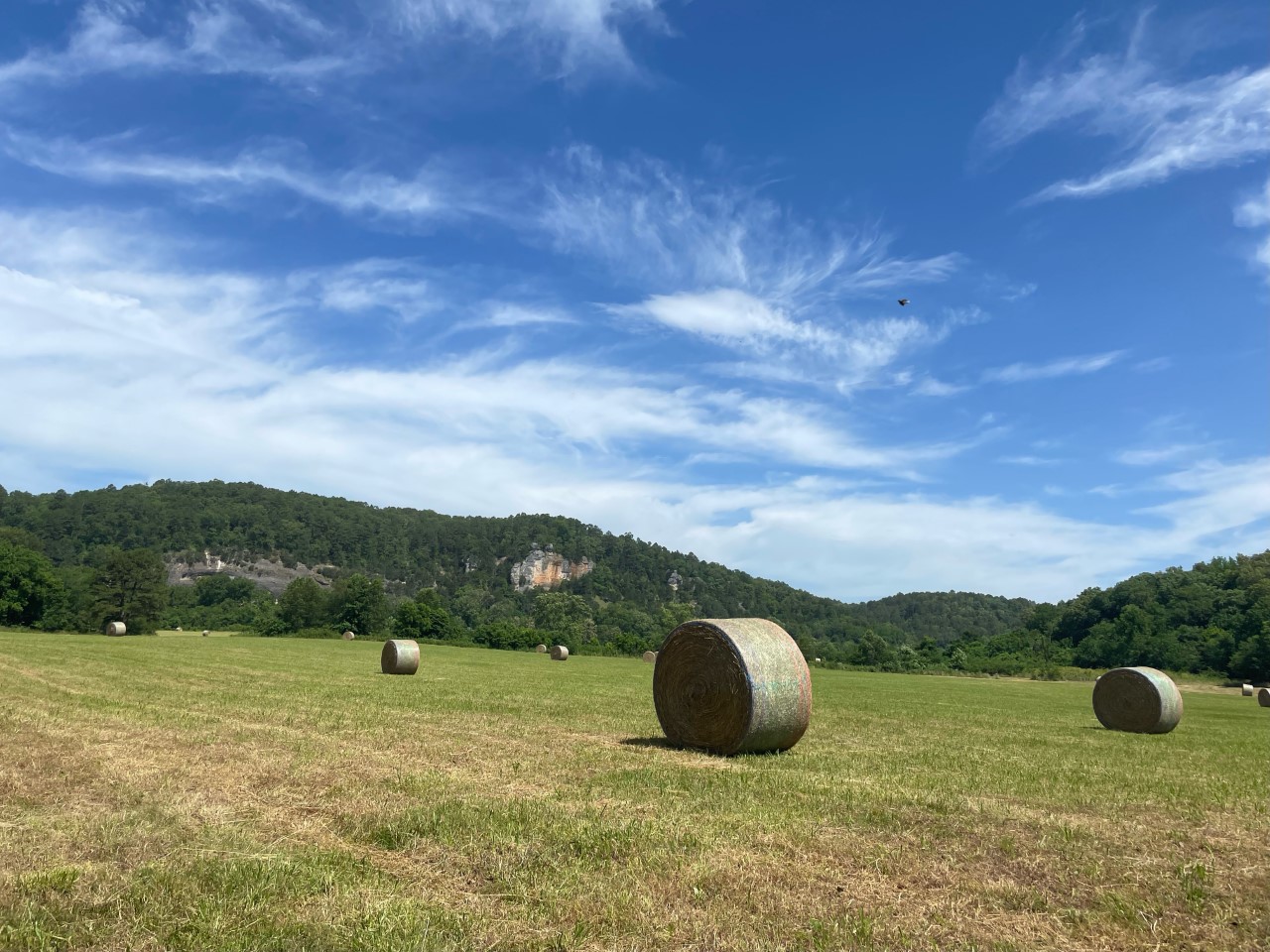 Several round hay bales sit on a recently mowed field.