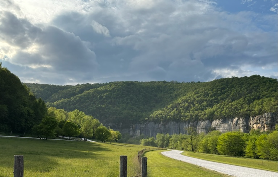 Steel Creek A road leads to a large rock bluff coated in green trees.