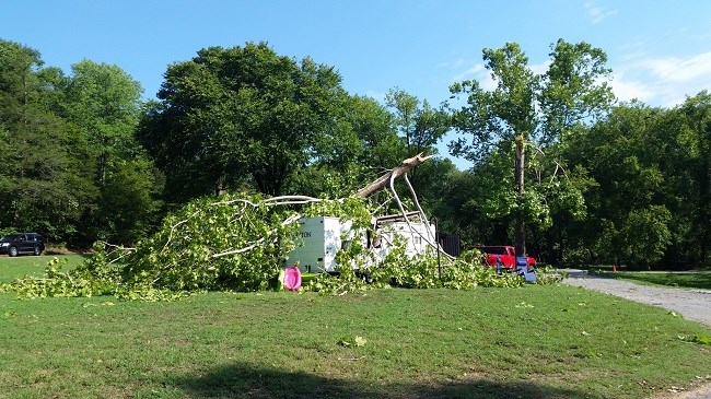 Photo of RV camper with fallen tree on it.