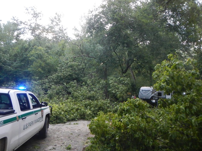 photo of park ranger vehicle at left with large tree down on road