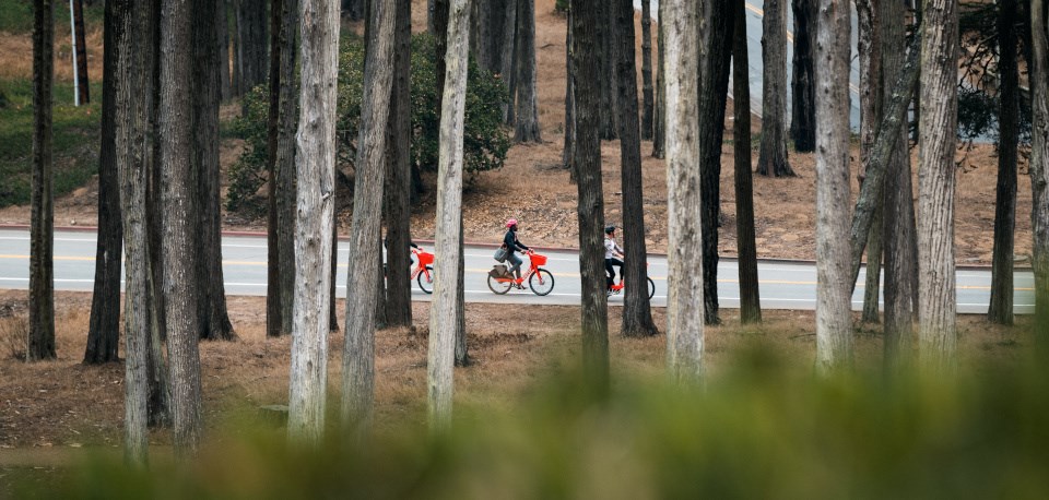 e-bike_JordanRosen-Photography-960w_2 A view through standing trees of people riding red motorized bicycles (e-bikes)