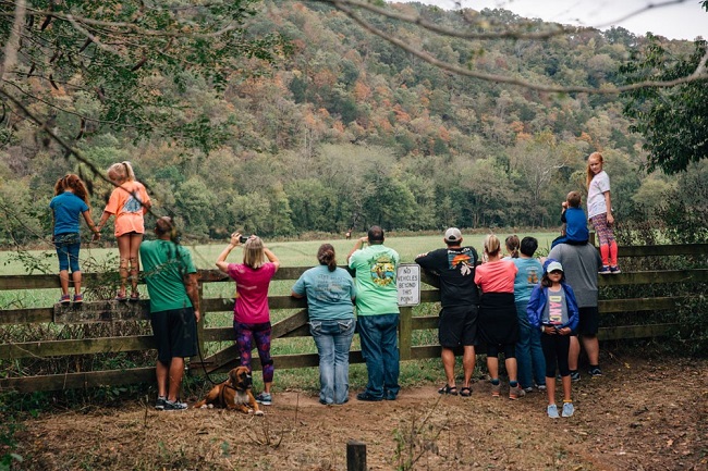 photo with people on fence in foreground, tree covered hillside in background and bull elk at base of hill