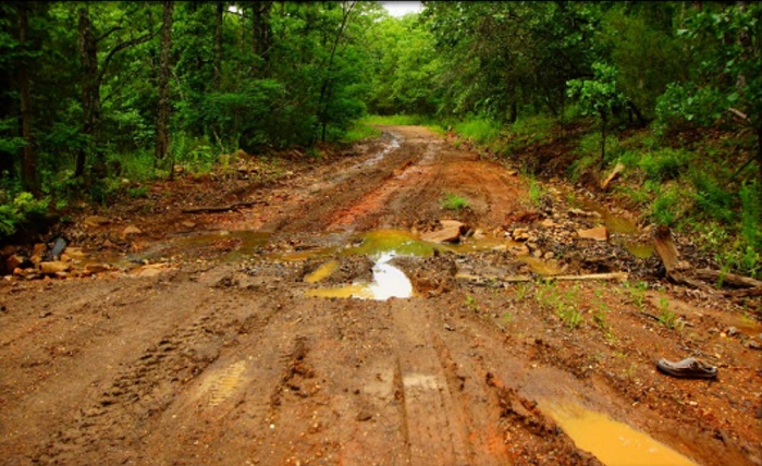 erbiecompton road damage muddy rutted dirt road through center with green trees along left and right