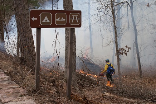 firefighter igniting prescribed fire with drip torch