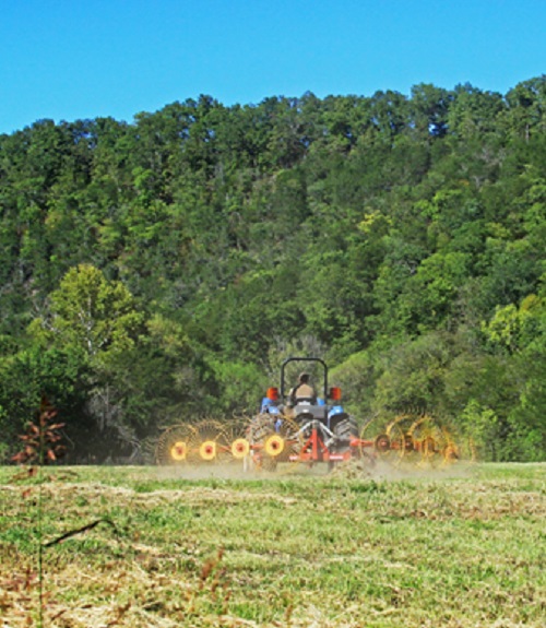 hay field A man rides a tractor while performing hay operations in a park field.