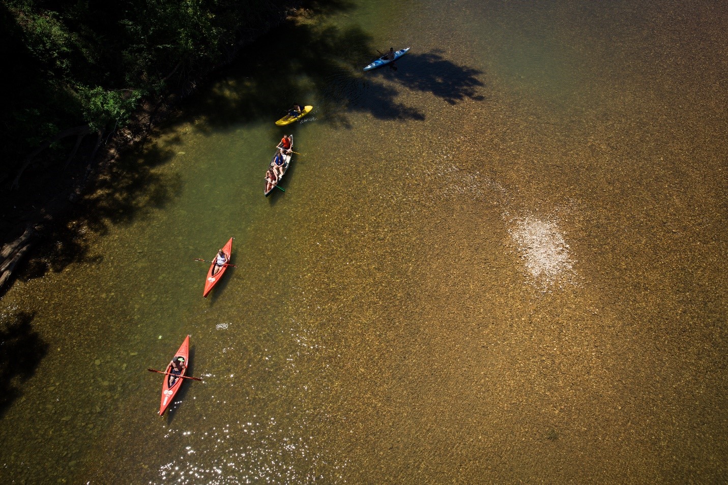 A view from above of two, solo, red kayaks in a line followed by a canoe with three paddlers, a yellow kayak and a blue kayak. The boats are in the water and brown gravel can be seen under the water. In the upper left corner of the image shadows from tree