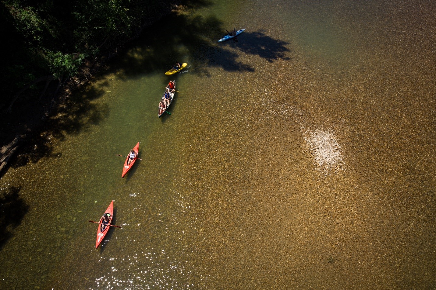 Paddling on Buffalo National River A view from above of two, solo, red kayaks in a line followed by a canoe with three paddlers, a yellow kayak and a blue kayak. The boats are in the water and brown gravel can be seen under the water. In the upper left corner of the image shadows from tree