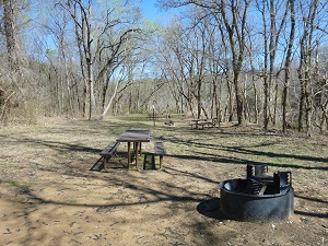 view of fire ring and picnic table at campsite