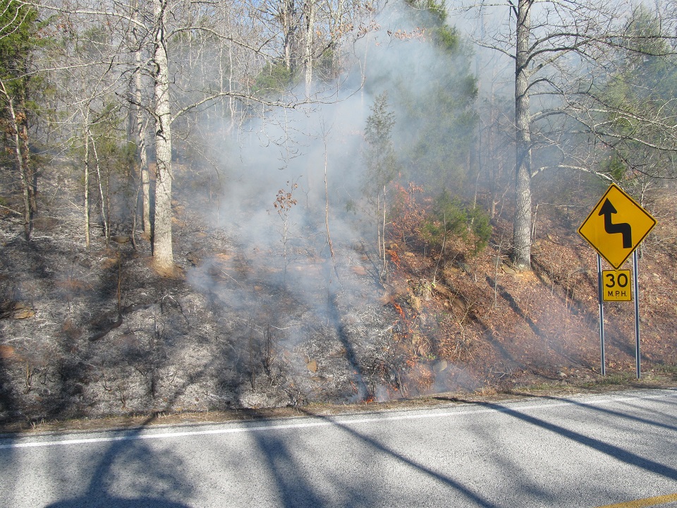 Boxley Wildfire photo of smoke along roadway
