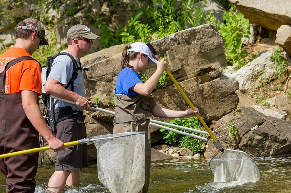 stream ecology camp three people left and center of photo with nets standing in river