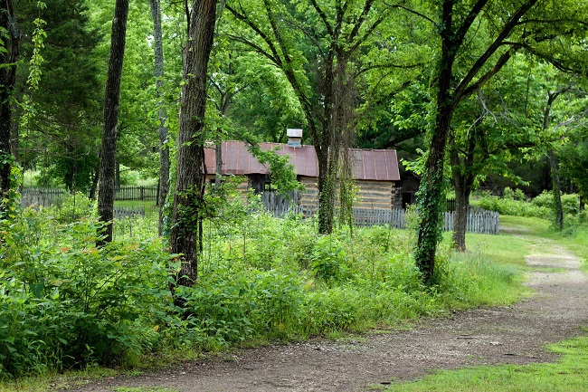 color photo with brown trail at left, trees in foreground and cabin in background