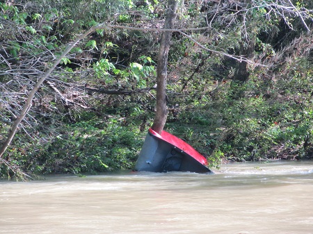 red canoe wrapped around tree