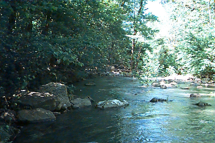 Nature and Science