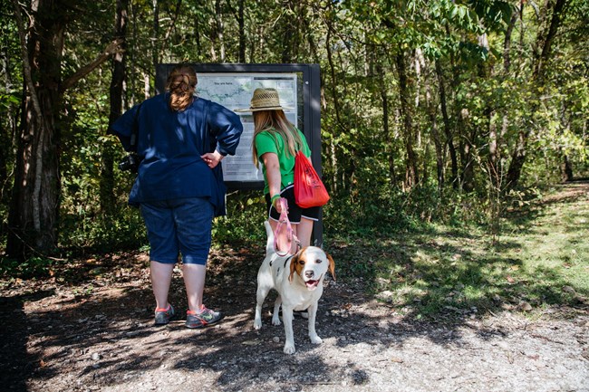 Dog with two hikers at trailhead