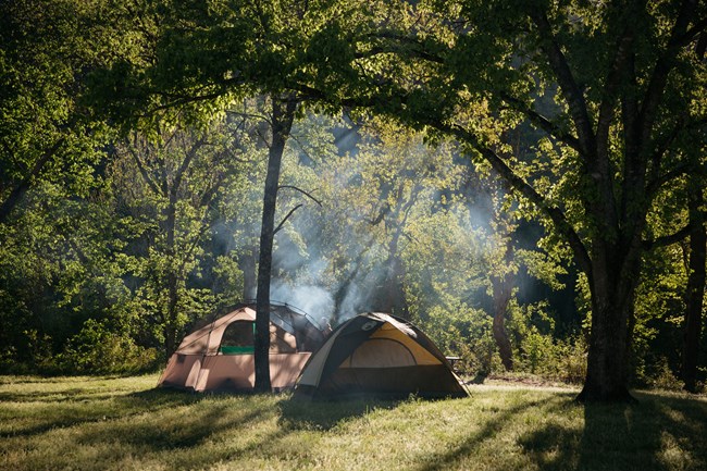 A campfire smolders in morning sunlight with two tents nearby